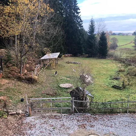 Appartement Waldferienwohnung Einoede Bischofsmais